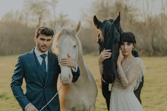 Editorial Asturias (Completa)