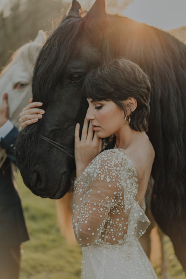 Editorial Asturias (Completa)