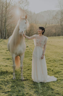 Editorial Asturias (Completa)